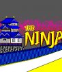 Ninja, The (Sega Master System (VGM))